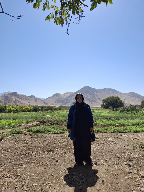 نودشه