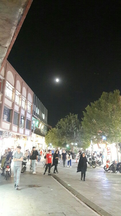 شبتون بخیر