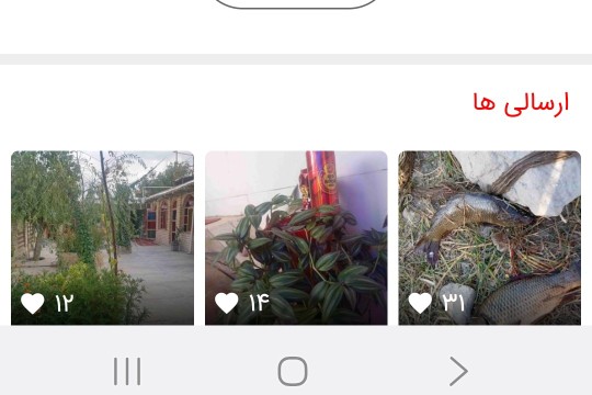 باغبون کچل و خپل اومده جا روزبه دلبری🍑🐸💃💃💃