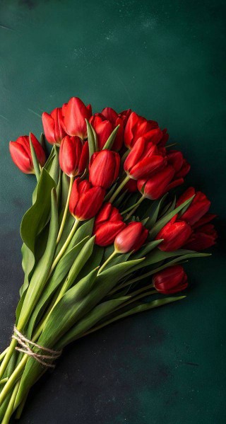 شبتون بی نظیر 🥰 دوستانم 🥰