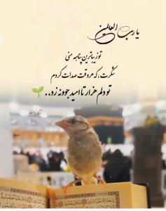 بعد از خدا تنها پناهم تو بودی ولی ........💫