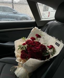 تقدیم همه