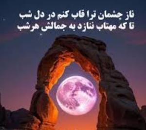 شعر 