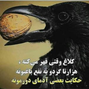 سن سون 