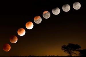 🌙ماه فرو ماند از جمال محمد🌙