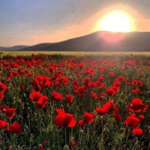 ابتدای هر رابطه ای احساسات نمایان می‌شود و در پایان آن اخلاق