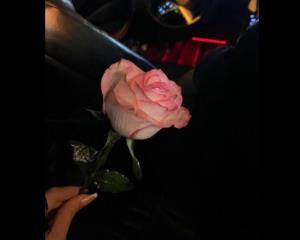 من اگه تـونباشی دلـمو خــوش کـنم بـه چـی داداشـی❤