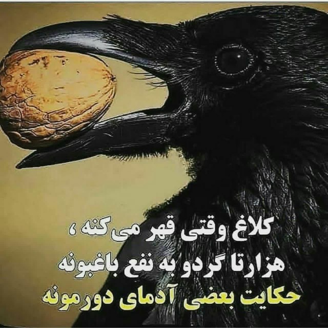 سن سون 