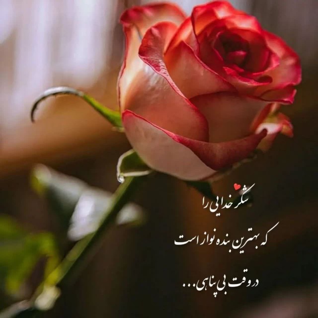 سلام 