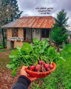 دنیا هنوزم  قشنگیاش داره 