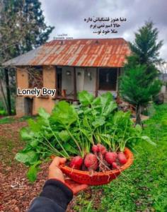 دنیا هنوزم  قشنگیاش داره 