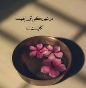 شبگرد تنها 