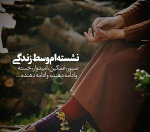 از هیچ کدام از تصمیم های زندگی ام که منجر به شکست ...