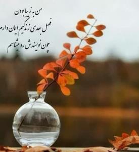 شب خوش