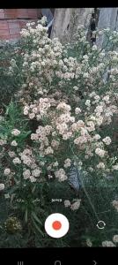 تقدیم به نگاه شما 😊🌹😊🌹