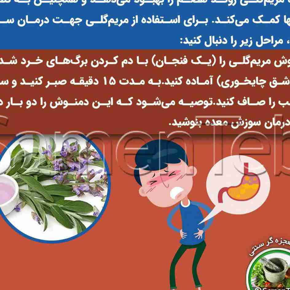 خواص مریم گلی