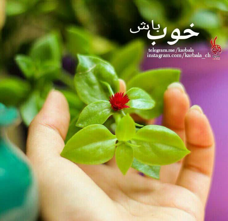 برﺍﯼ "ﺁﺩﻣــﻬﺎ"
ﺧــﺎﻃﺮﻩ ﻫﺎﯼ "ﺧـــﻮﺏ" ﺑﺴﺎﺯ. ♡
🌸🌸
ﺁﻧﻘــﺪﺭ ﺑﺮﺍ