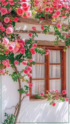 ولی به گمانم خانه ی پدری قطعه ای از بهشت است . 👧❤️❤️❤️