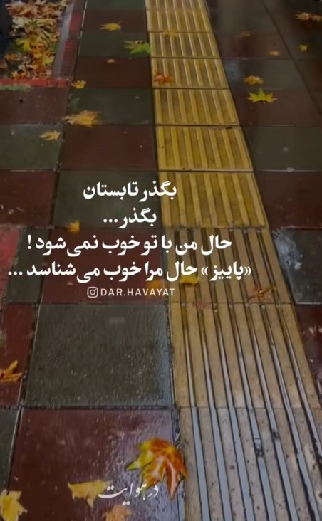 بیا ای برگ پاییزی، گمانم با تو همدردم🍂🍁🍂