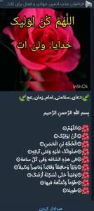 🌹💚🌹💚🌹