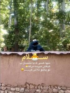 کی بیداره😎🌾😃🤪