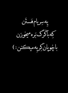 شبتون ستاره بارون 🙋🏻‍♂️🌙✨