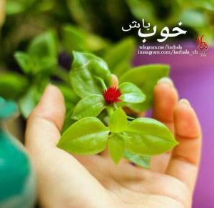 برﺍﯼ "ﺁﺩﻣــﻬﺎ"
ﺧــﺎﻃﺮﻩ ﻫﺎﯼ "ﺧـــﻮﺏ" ﺑﺴﺎﺯ. ♡
🌸🌸
ﺁﻧﻘــﺪﺭ ﺑﺮﺍ