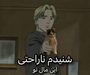 🐈🐈‍⬛ میخواهید ؟