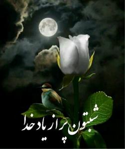 شب بخیر انشاالله همیشه شاد باشی انشاالله 