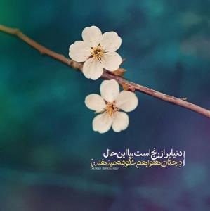 سلام 