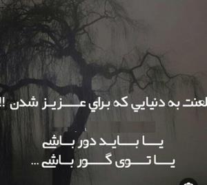 لعنت به این دنیا بی وجدان ✋️🌹🌲🍁