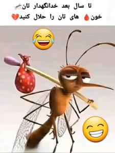 پاییز در راهه کوله بار بسته😂😂😂😂👌🏻