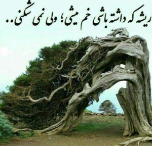 الحق دوز سوزدی تا ابد💯