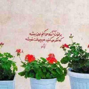 دیروز و فردا با هم دست به یکی کردند;
دیروز با خاطراتش مرا فریب داد و فردا با وعده هایش مرا خواب کرد
وقتی چشم گشودم امروز گذشته بود...

البر کامو


