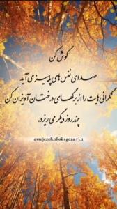 بهترین هارو براتون آرزو میکنم 🙏