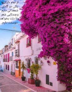 🌸
🌸💖
🌸💖🌸
🌸💖🌸❤
🌸💖🌸❤🌸
🌸💖🌸❤
🌸💖🌸
🌸💖
🌸

