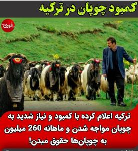 اتفاقات جالب 