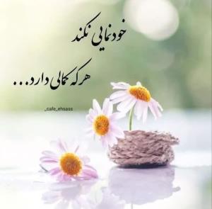 شبتون بخیر 