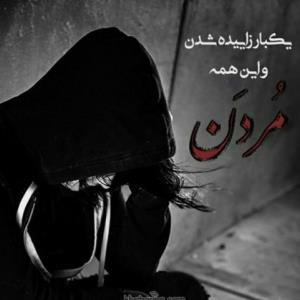 وای از فراق یاران