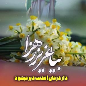 اللهم بلغ مولای یا صاحب زمان