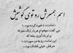 امانت دار خوبی نیستم قابل توجه نیمه گمشده م 🤦‍♂️
