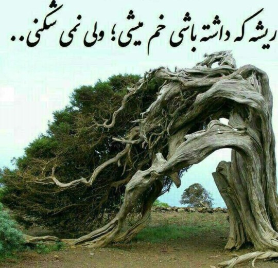 الحق دوز سوزدی تا ابد💯