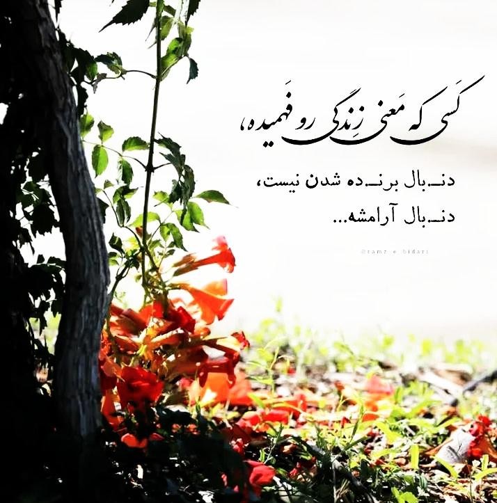 آرامش 🌹