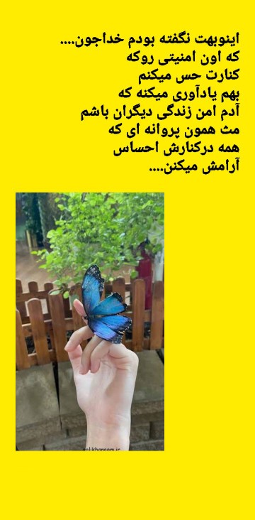 //🦋💛//