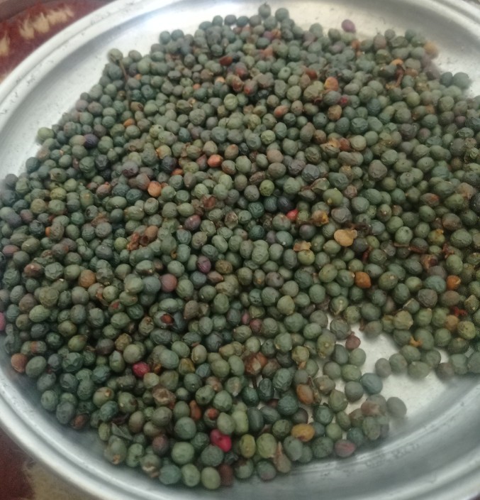 بفرمویین بنه تازه 🌹🌹