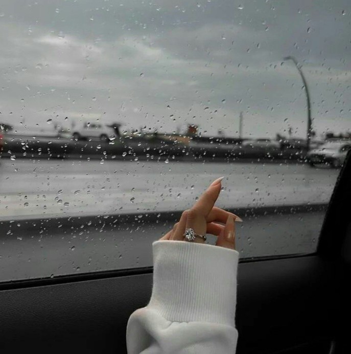 ،🌹🌹