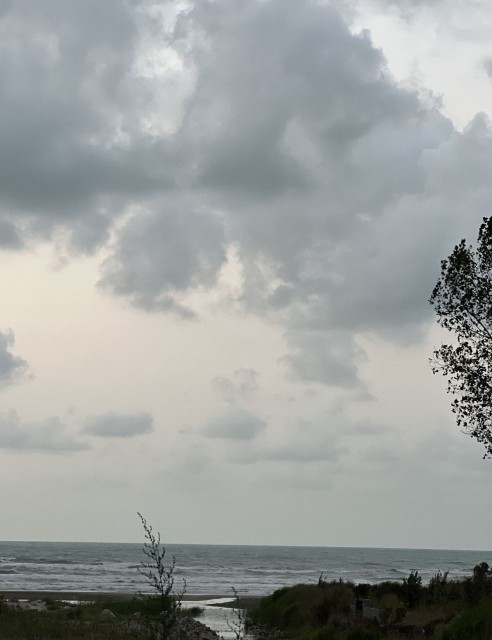 ‏نگم از هوای جذاب شمال🤌🏻🌫️🌊☁️

