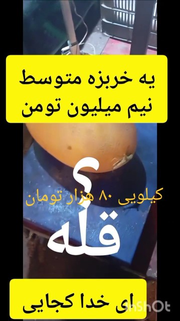 خربزه کیلویی ۸۰ هزار تومان🤣🤣🤣👋