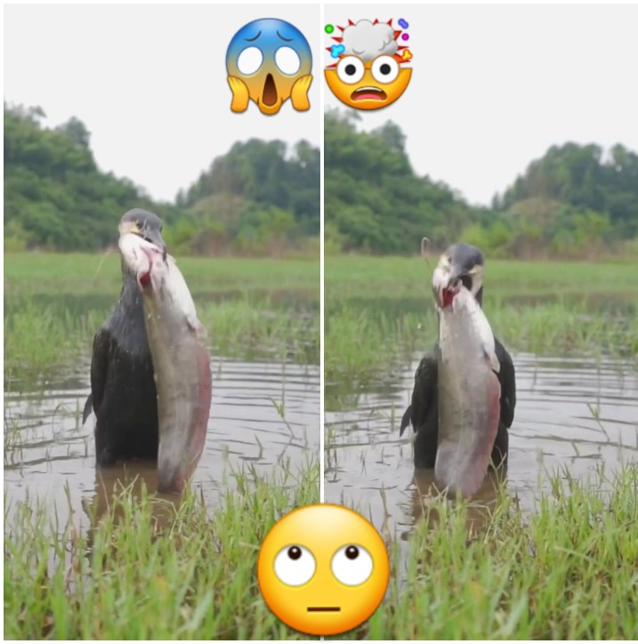 لفمه دهنش نیست !!🙄شما چه فکری میکنید ؟