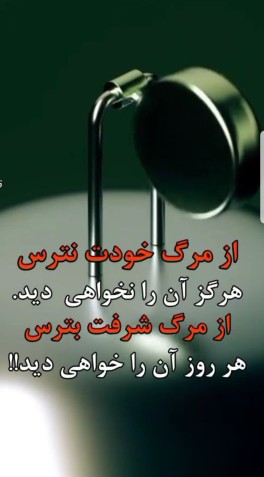 نصیحت ناب
